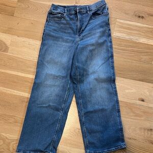 American Eagle Outfitters Women's Blue Curvy High Rise Baggy Straight Leg Jeans